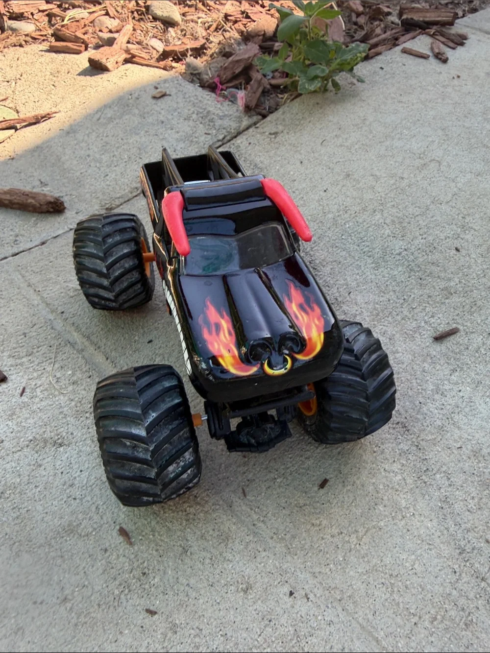 Monster Jam bold el